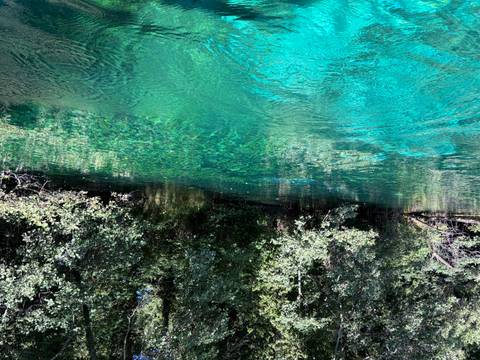 Crystal-clear turquoise river bordered by leafy green trees on a sunny day.