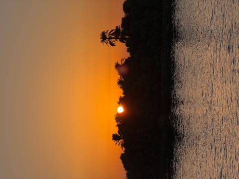 Brilliant orange sun sets behind palm trees on the Nile River, reflecting on calm water.