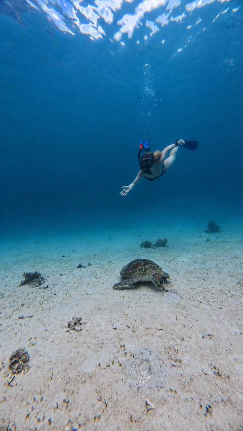 Photo d'avis client sur Aventure de 10 jours dans l'ouest des Philippines