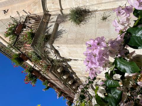 Bougainvillea blossoms framing an ornate stone balcony adorned with potted flowers against blue sky.