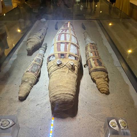 Display case showing three wrapped crocodile mummies on sand inside a museum.