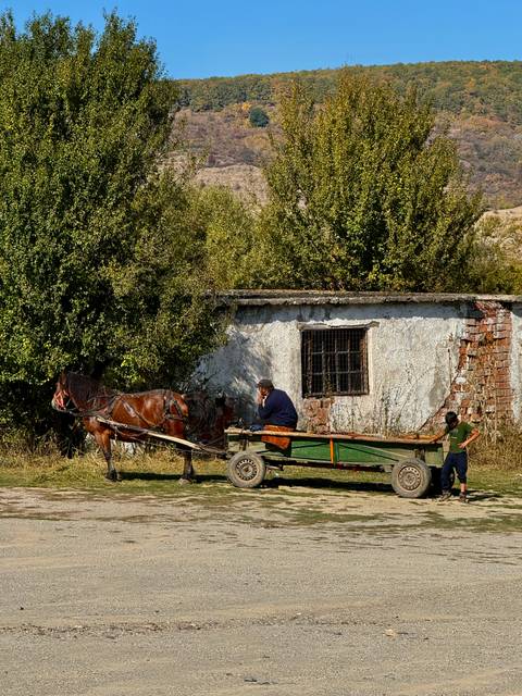 Man driving horse-drawn wooden cart past rustic outbuilding and leafy trees.