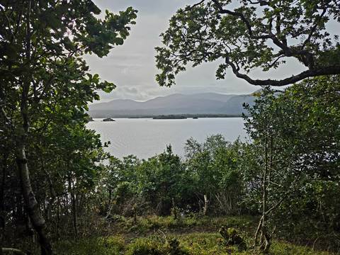 Lake view framed by lush foliage and distant hazy mountains in soft light.