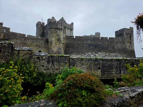 Massive stone walls and towers of a medieval Irish castle surrounded by autumn shrubs.