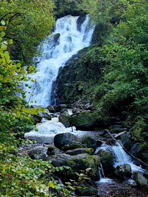 Torc Waterfall cascades through lush green woodland over mossy boulders.