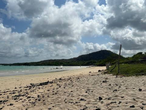 Quiet sandy beach with turquoise water, black volcanic rocks and a forested hill beneath a cloudy sky.