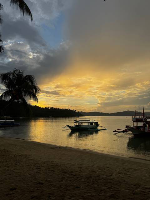 Golden hour over a calm tropical bay with traditional boats and a silhouetted palm tree.