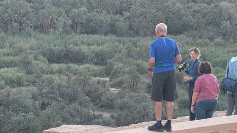 Travellers observe a vast palm oasis from a stone lookout at dusk.