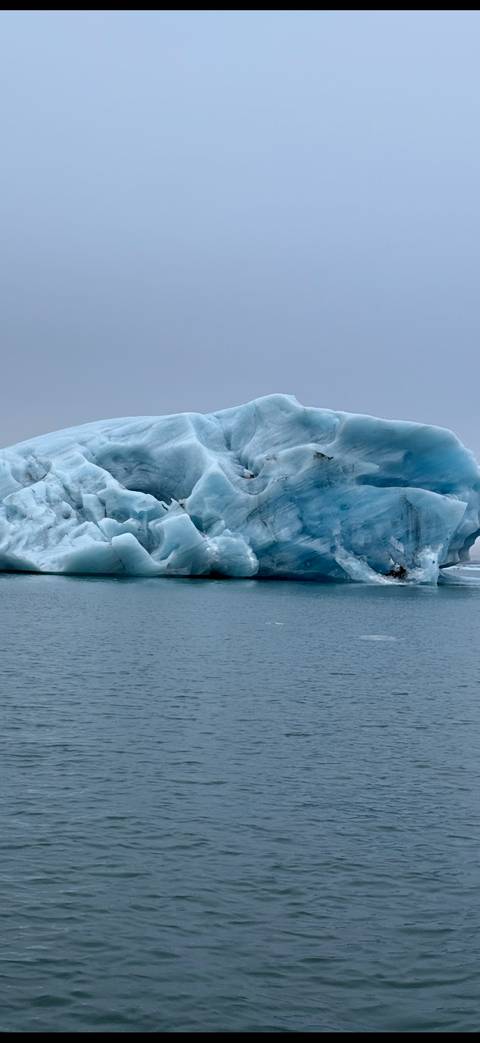 Massive blue iceberg with sculpted shapes floating in still water.