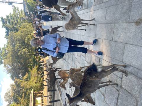 Woman surrounded by friendly deer on a paved walkway in Nara Park.
