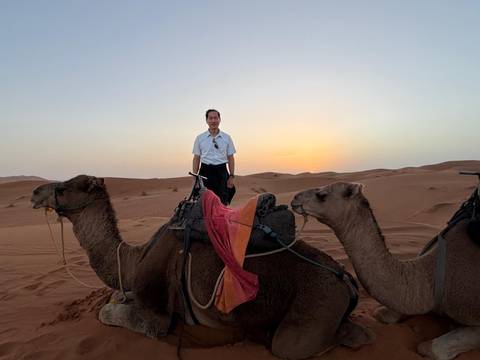 Traveller atop a saddled camel with Sahara dunes and soft sunrise glow behind