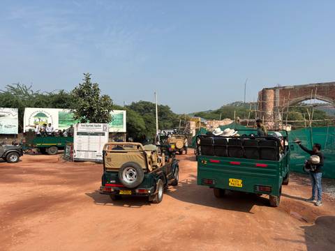 Green safari jeeps gathering near park entrance for a wildlife drive.