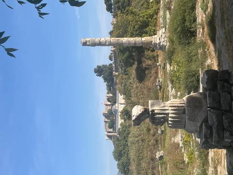 Scattered column drums of the Temple of Artemis with Ayasuluk Castle on the hill behind.