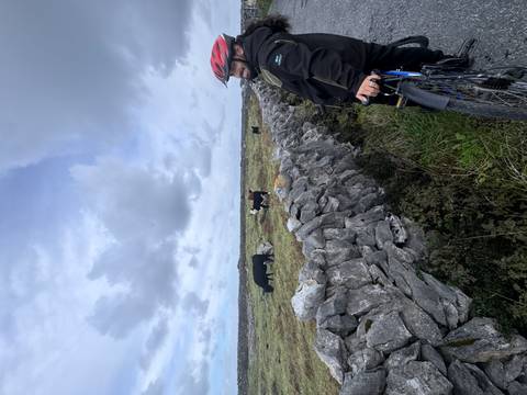 Cyclist wearing a helmet pauses by a stone wall while cows graze on a cloudy limestone plain.