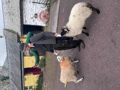 Local farmer holding sheep while a visitor takes a selfie in a rustic farmyard setting.