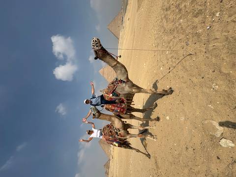 Riders on colorfully draped camels raise their arms near the pyramids on a sunny desert day.