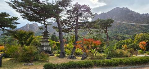 Autumn foliage surrounds pine trees and a stone pagoda against rugged peaks of Seoraksan.