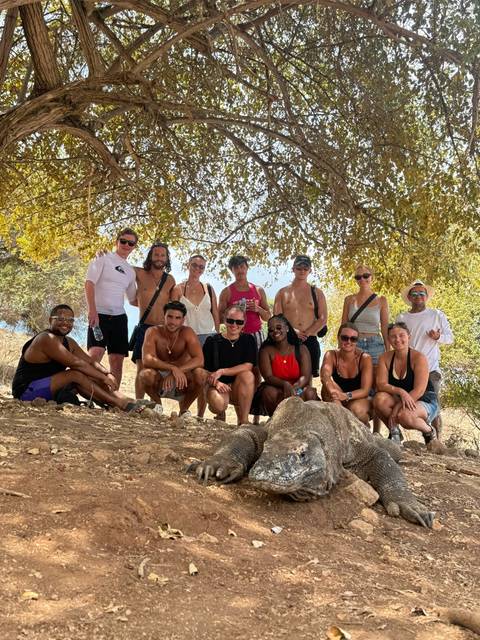 Travel group crouches under a tree next to a resting Komodo dragon on dry, hilly terrain.