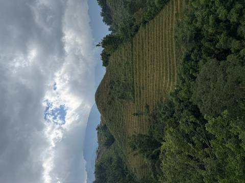 Lush green terraced hill under a dramatic sky with patches of blue and sunlit clouds.