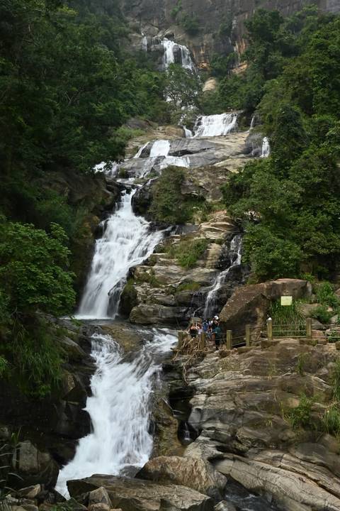 foto de reseña de cliente de Esplendor de Sri Lanka - (Viaje de 8 días y 7 noches por Sri Lanka)
