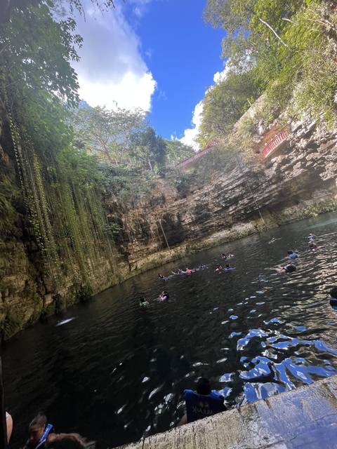 Tilted image of people swimming in a cenote surrounded by lush vegetation.