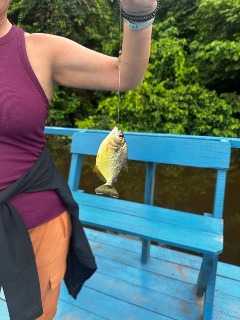 Person holding a fish from a fishing line