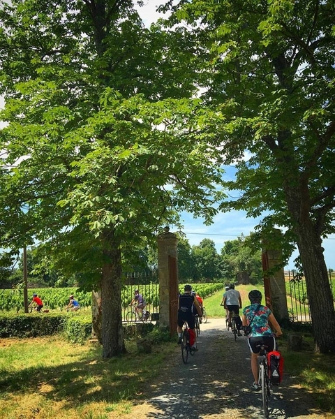 foto de reseña de cliente de Circuito en bicicleta, Provenza, Francia - grupos guiados
