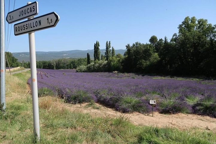 foto de reseña de cliente de Circuito en bicicleta, Provenza, Francia - grupos guiados