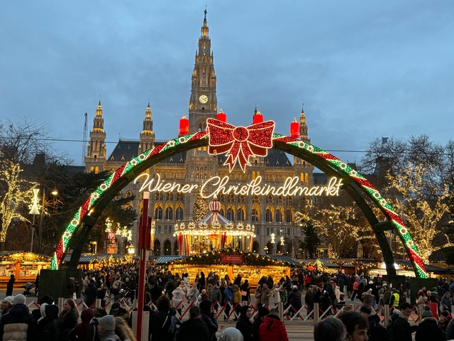 Vienna Christmas market with festive decorations.