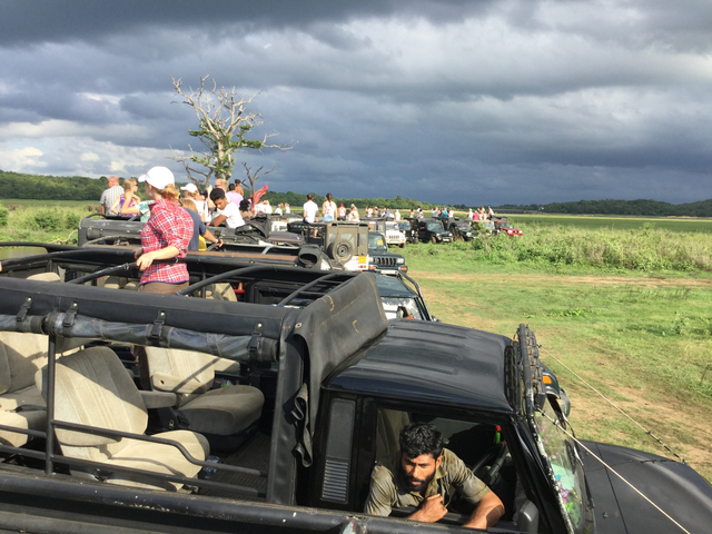 Group of people on a safari in open vehicle.