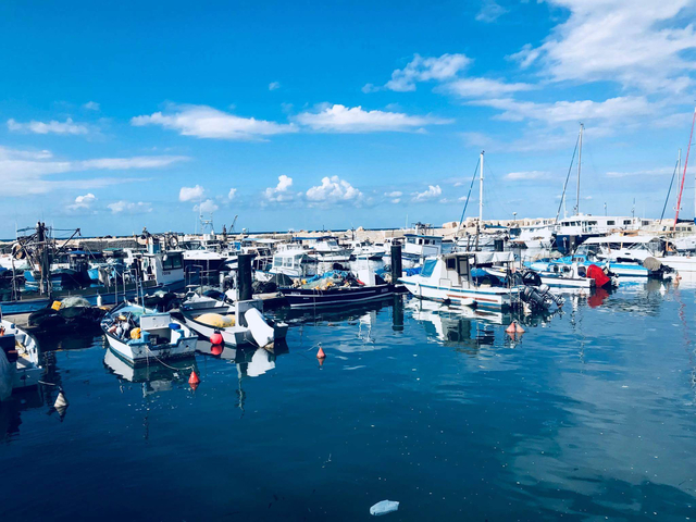 Colorful fishing boats moored in a calm harbor under blue skies.