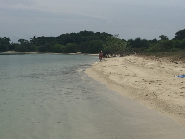 Person walking on a quiet sandy beach.