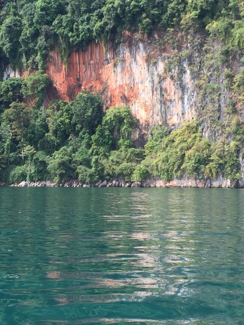 Forest-covered cliffs over a lake.