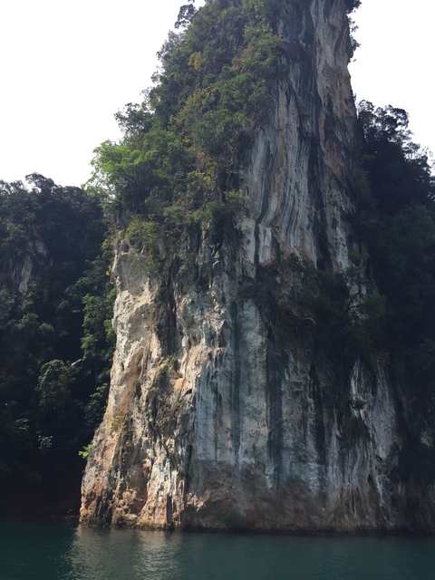 Limestone cliffs rising vertically with vegetation.