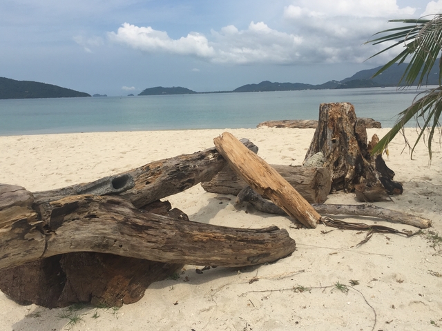 Sandy beach with driftwood and island mountains in the distance.