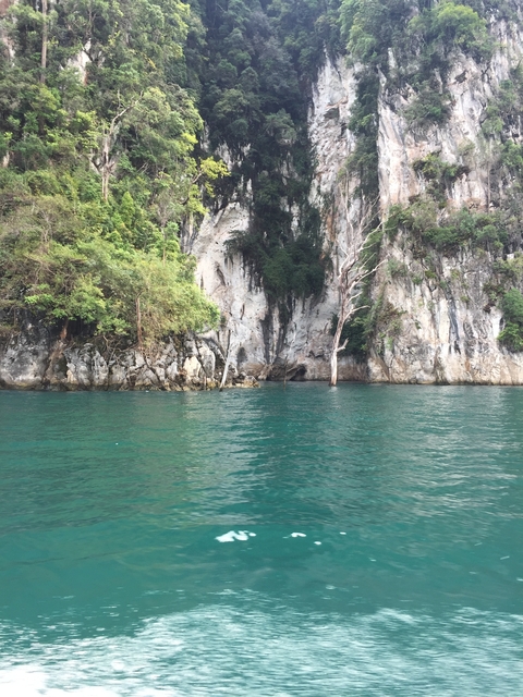 Rocky cliffs and clear water surrounded by vegetation.