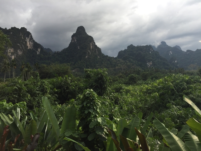 Lush green jungle with rocky mountains.