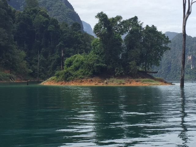 Small island with dense trees surrounded by water.