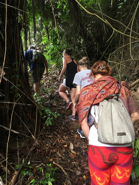 People hiking through a forested trail.