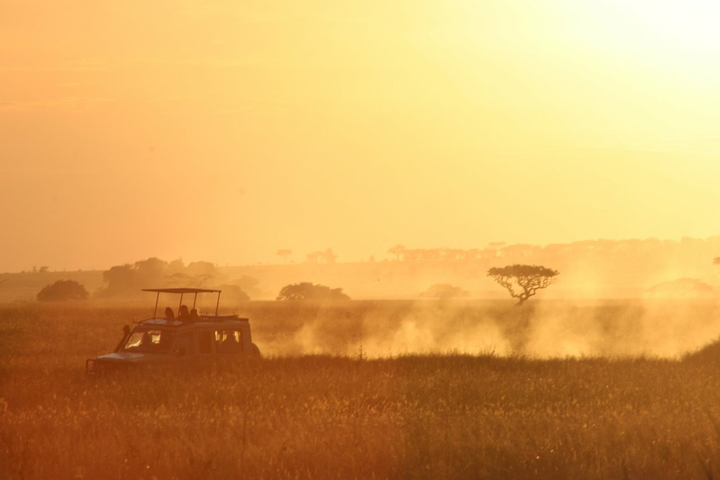 A safari vehicle on a dusty field during sunset.
