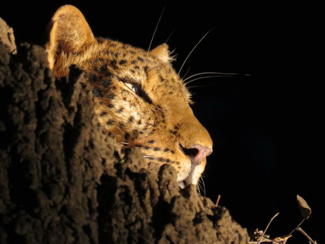 foto de reseña de cliente de De las cataratas Victoria al Serengeti en 21 días - alojamiento