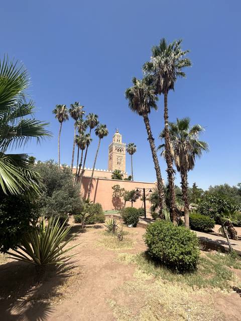 Palm trees surrounding a mosque.