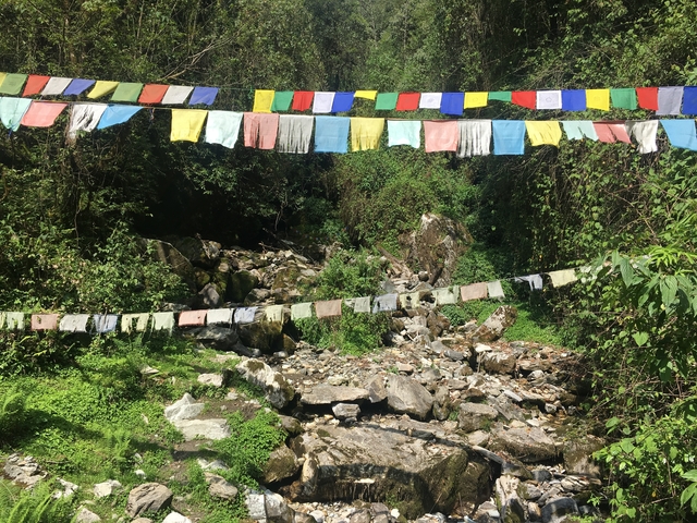 Tibetan prayer flags over a rocky stream surrounded by lush greenery.