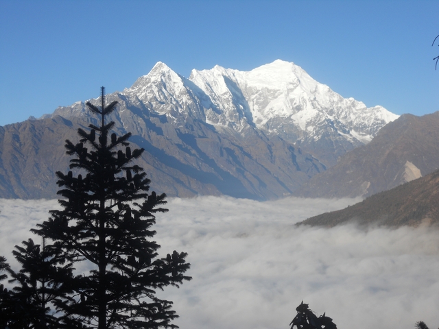 Snow-capped mountains above a sea of clouds with a tree silhouette.