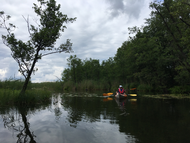 A person kayaking on a calm river surrounded by trees.
