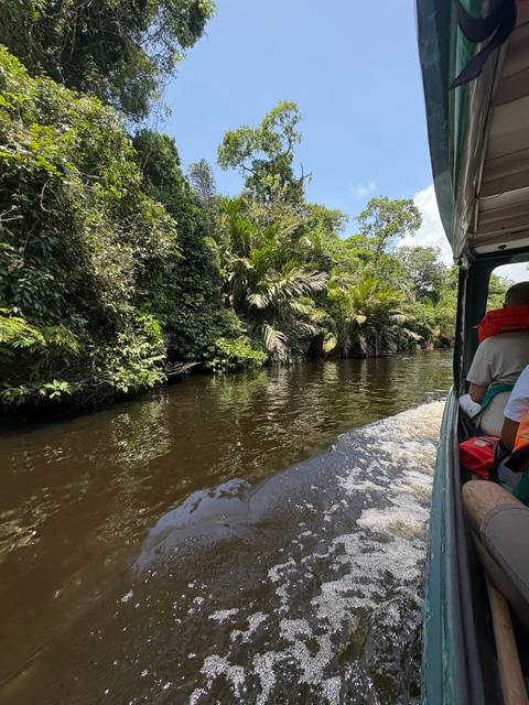 View from a boat in a river surrounded by vegetation.