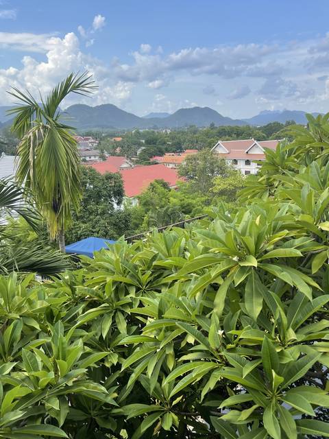 Scenic view of rooftops and greenery.
