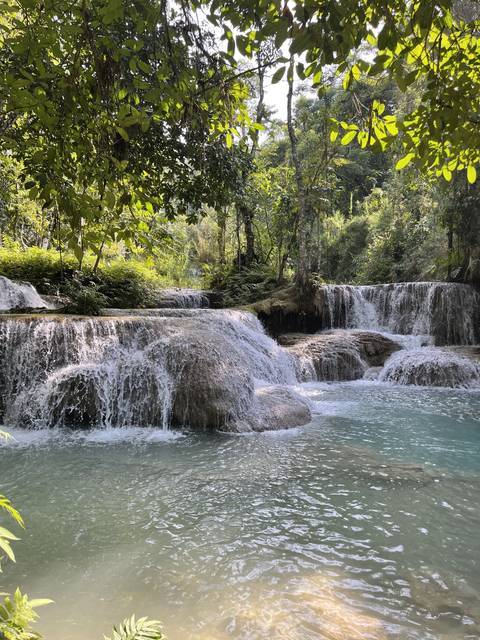 Lush waterfall amidst dense foliage.