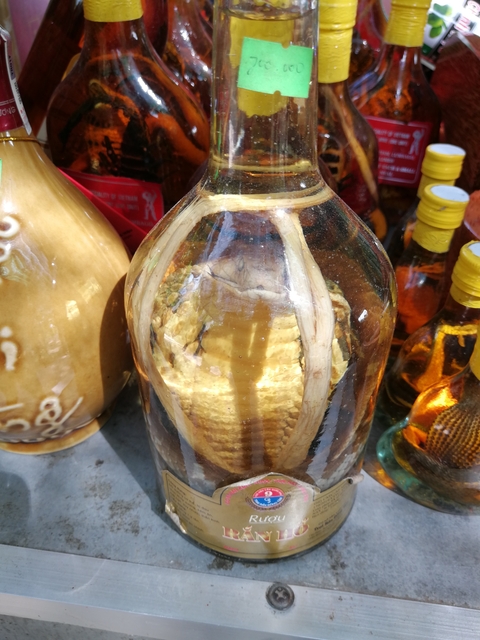 Close-up of a bottled beverage with an animal inside.
