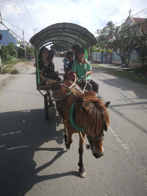 Horse-drawn cart with two people seated.